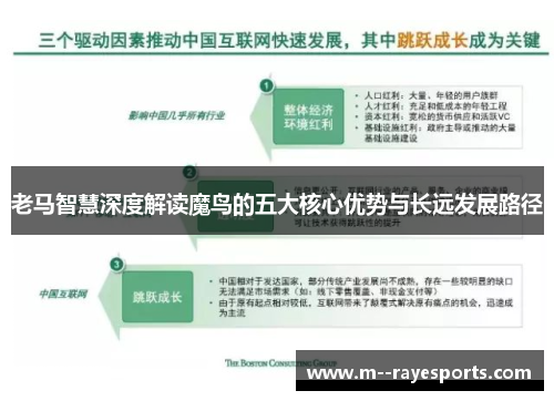 老马智慧深度解读魔鸟的五大核心优势与长远发展路径