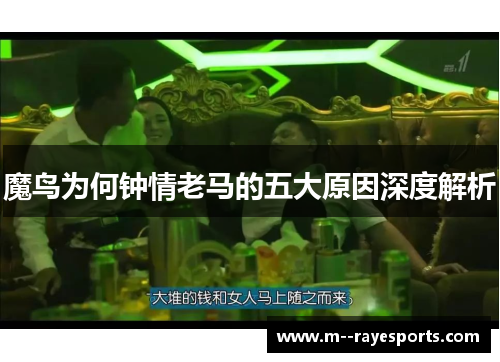 魔鸟为何钟情老马的五大原因深度解析